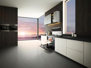 厨卫新宠集成灶 究竟有何魅力，赶紧先睹为快